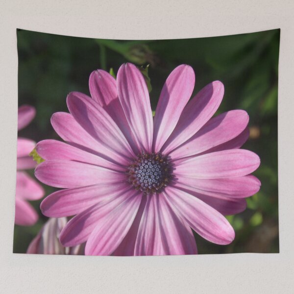 Item preview, Spectacular African Daisy designed and sold by taiche.