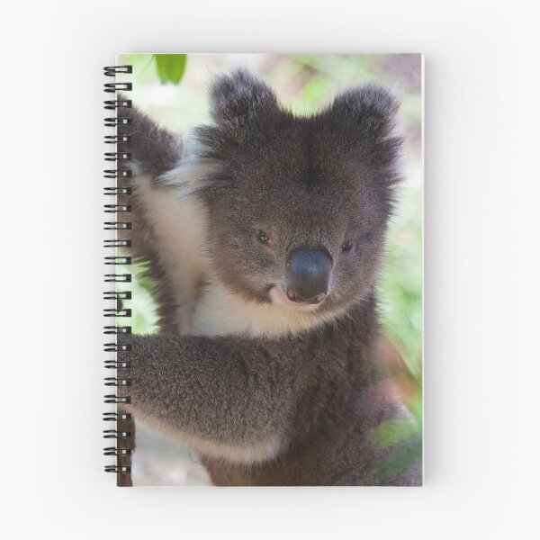 Item preview, Koala designed and sold by margotk.