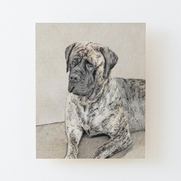 english mastiff painting