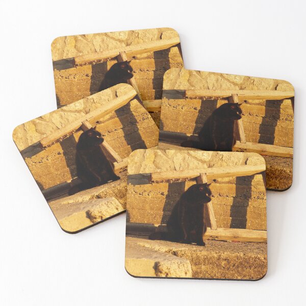 Item preview, black cat and shadows designed and sold by distracted.