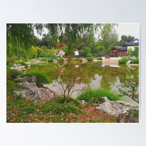 Chinese garden Poster
