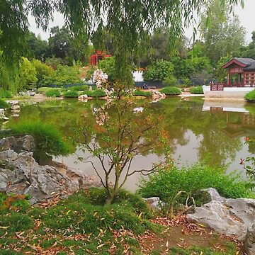 Artwork thumbnail, Chinese garden by TalBright