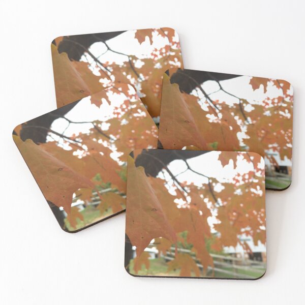 Item preview, Autumn leaves designed and sold by chiarraigrrl.