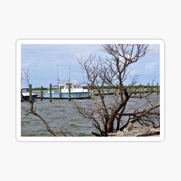 On a Very Windy Day Sticker