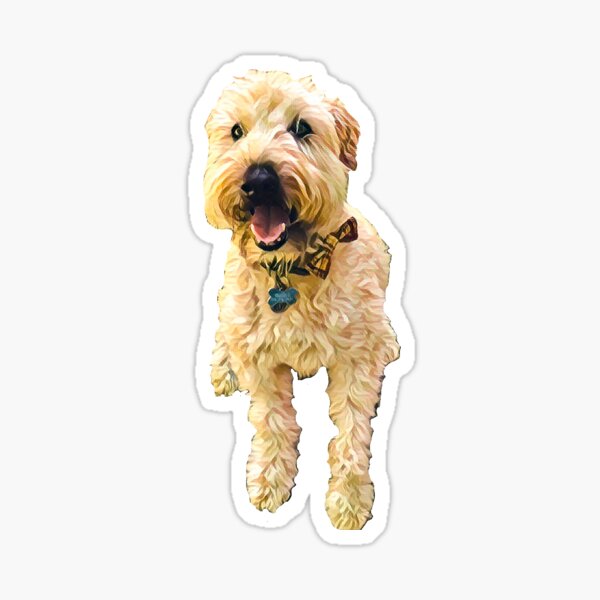 Wheaten shop terrier merchandise