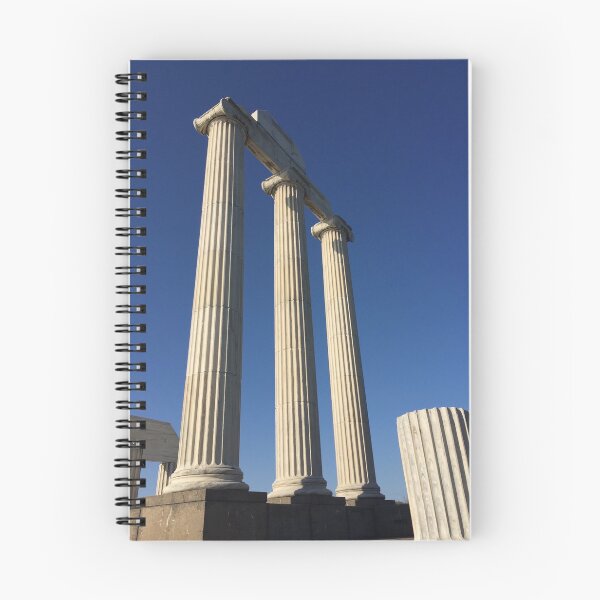 Item preview, Greek Columns on campus at SUNY Buffalo designed and sold by Jocelyn Sperduto Art.