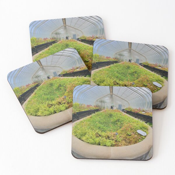 Item preview, Glasgow Botanic Gardens  designed and sold by TalBright.