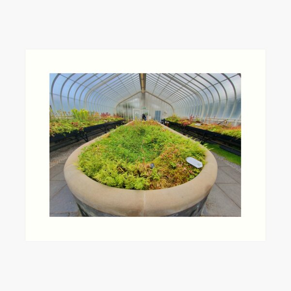 Glasgow Botanic Gardens Art Print