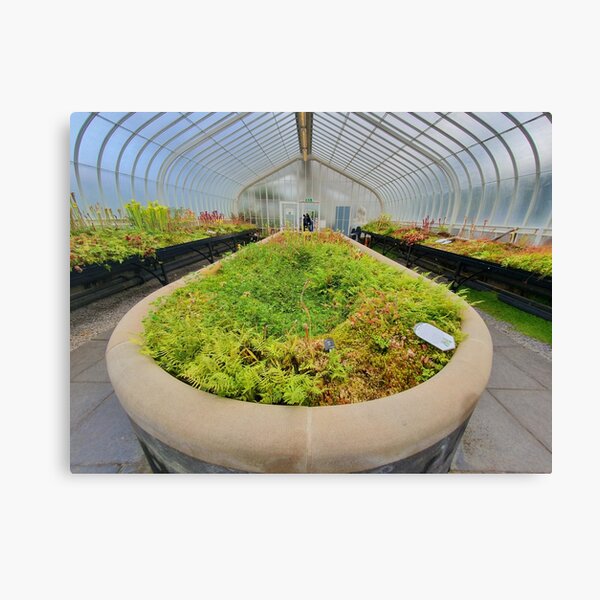 Glasgow Botanic Gardens Canvas Print