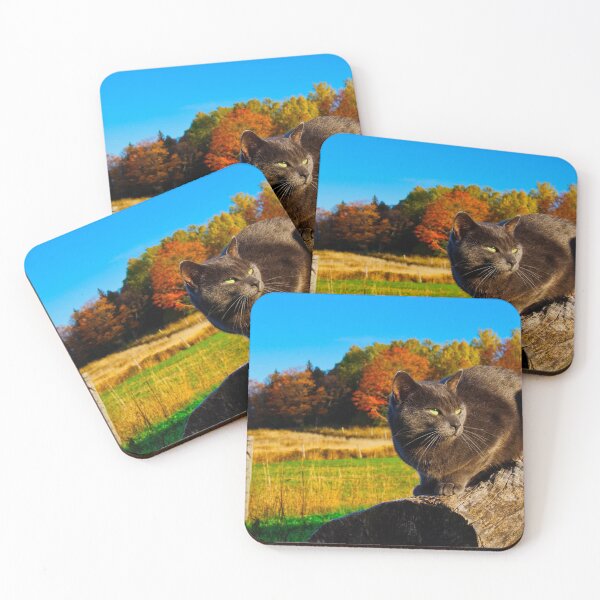 Item preview, Cat Country designed and sold by colorfulbundles.