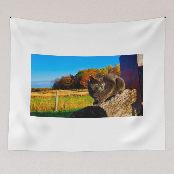 Item preview, Cat Country designed and sold by colorfulbundles.