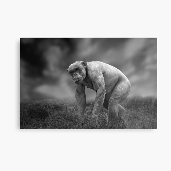 Item preview, Jambo The Hairless Chimpanzee designed and sold by rawshutterbug.