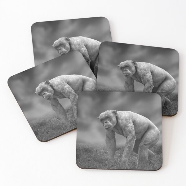 Item preview, Jambo The Hairless Chimpanzee designed and sold by rawshutterbug.