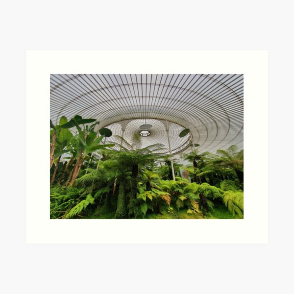 Glasgow Botanic Gardens Art Print