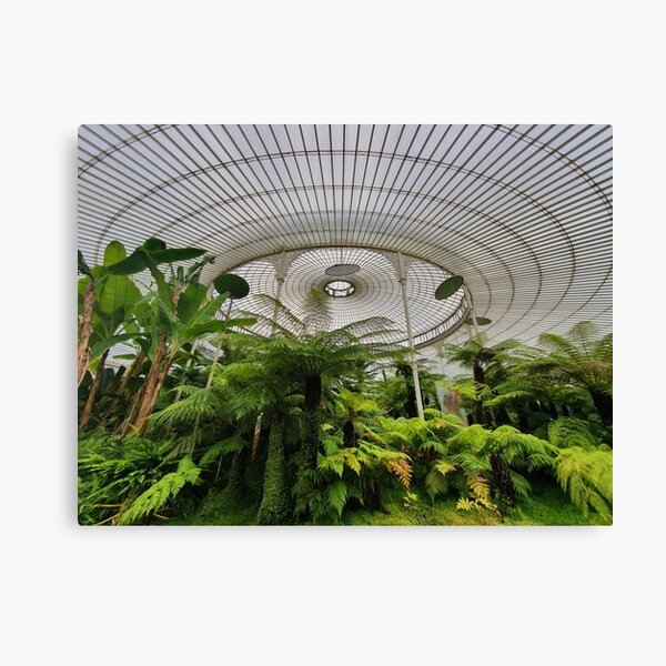 Glasgow Botanic Gardens Canvas Print