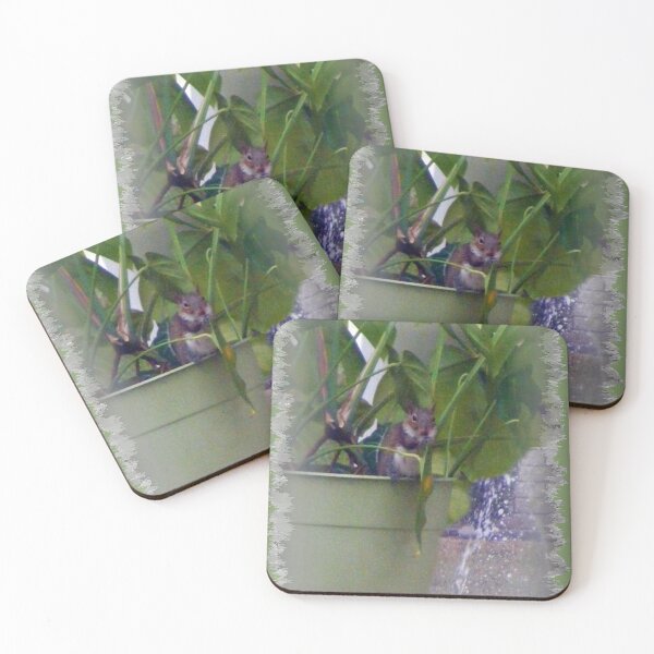 Item preview, Squirrel Plant designed and sold by kristalcurt.