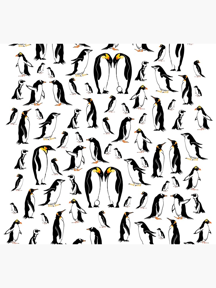 Discover Modèle De Pingouin Chaussettes