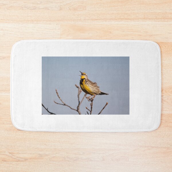 Item preview, Western Meadlark in Song designed and sold by Larry Trupp.