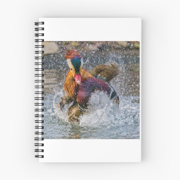Item preview, Mandarin Duck Splashing designed and sold by Gerard Fornarotto.