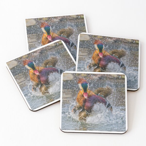 Item preview, Mandarin Duck Splashing designed and sold by Gerard Fornarotto.