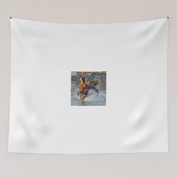 Item preview, Mandarin Duck Splashing designed and sold by Gerard Fornarotto.