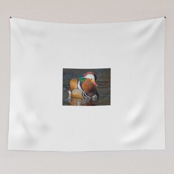 Item preview, Mandarin Display designed and sold by Gerard Fornarotto.