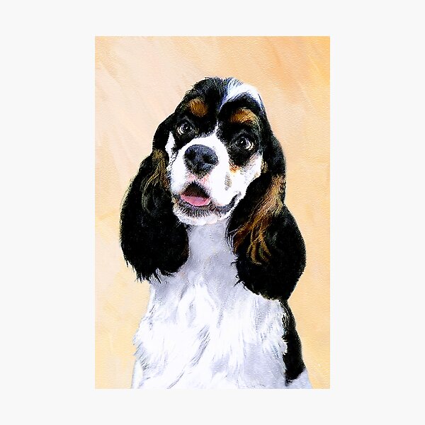 Vista previa del artículo con la obra «Cocker Spaniel (particolor)», diseñado y vendido por alpendesigns.