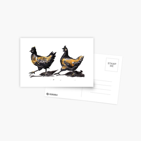 Chicken Postcard
