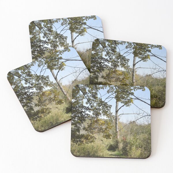 Item preview, Path on the Edge of the Woods designed and sold by Kathleen Brant.
