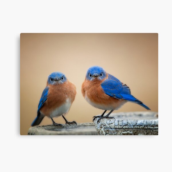 Item preview, Grumpy Little Men designed and sold by Bonnie T.  Barry.