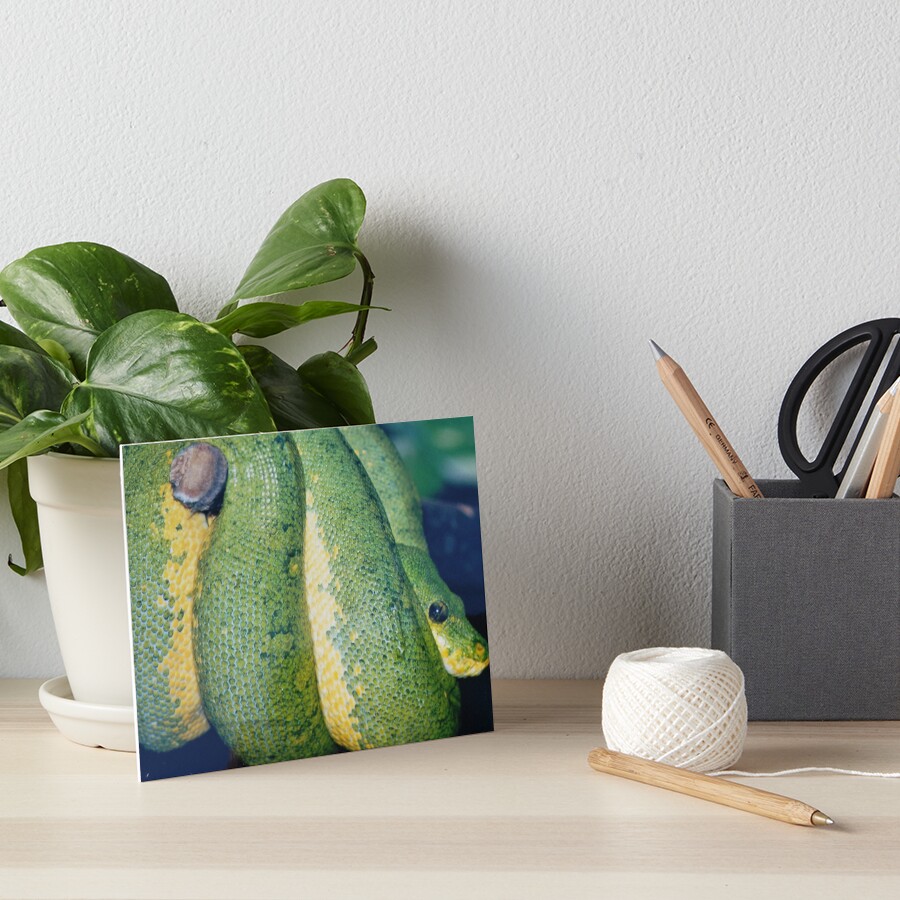 Item preview, Art Board Print designed and sold by stinewriting.
