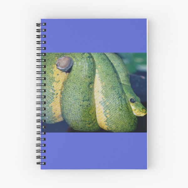 Item preview, Green Tree Python designed and sold by Christine  Bialczak.