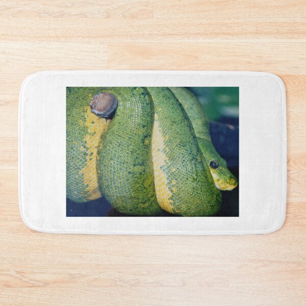 Item preview, Green Tree Python designed and sold by Christine  Bialczak.