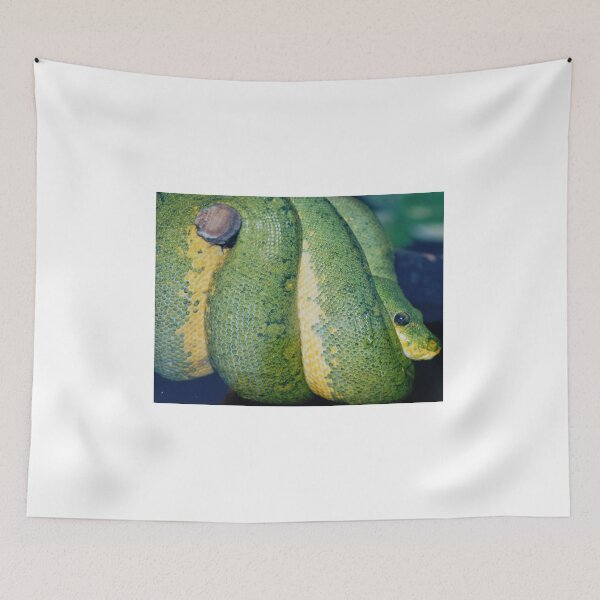 Item preview, Green Tree Python designed and sold by Christine  Bialczak.