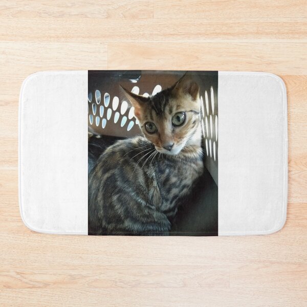 Item preview, Bengal Kitten designed and sold by Christine  Bialczak.