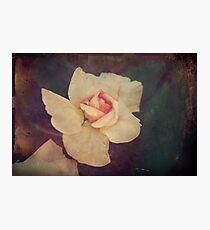 Open Your Heart Photographic Print