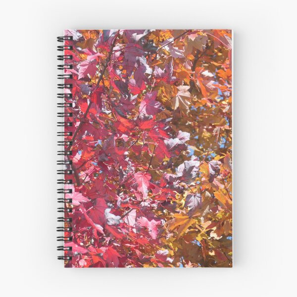 Item preview, Colorful Leaves Showing Some Fall Beauty designed and sold by Peggy Feigenbaum.