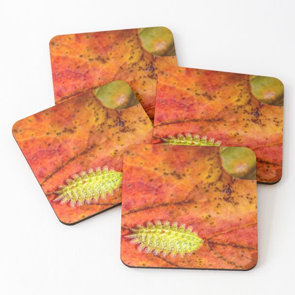Item preview, the unknown creature designed and sold by Manon Boily.