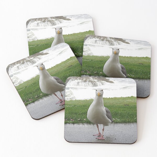 Item preview, Where Are My Cheet-os?Please read designed and sold by Diane Arndt.