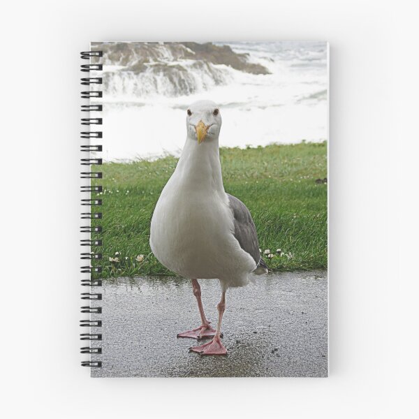 Item preview, Where Are My Cheet-os?Please read designed and sold by Diane Arndt.