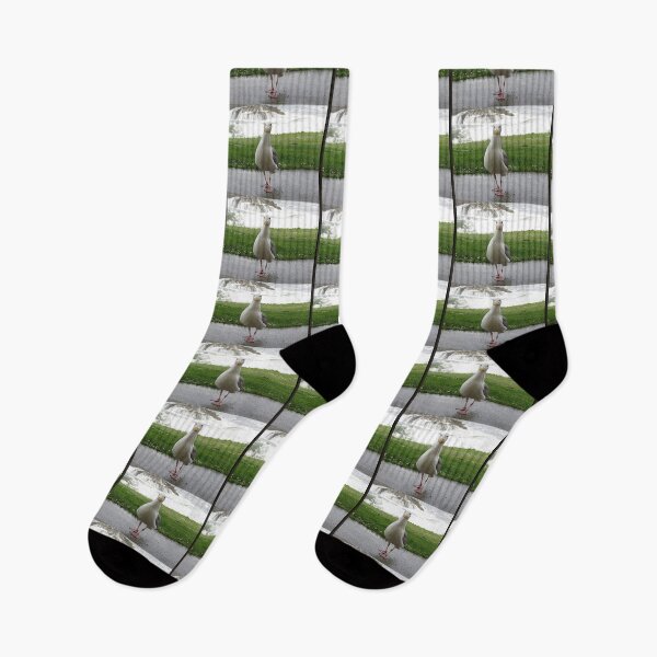 Item preview, Where Are My Cheet-os?Please read designed and sold by Diane Arndt.