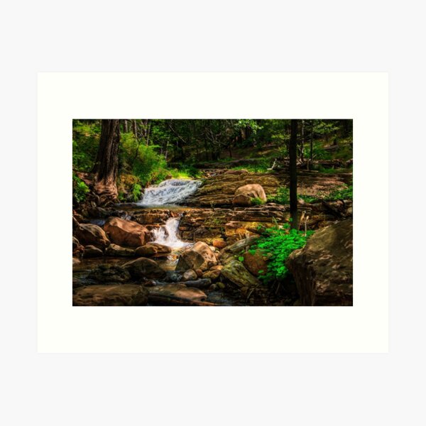 Item preview, Dark Forest designed and sold by BGSPhoto.