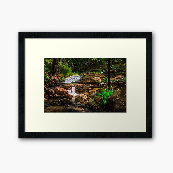 Item preview, Dark Forest designed and sold by BGSPhoto.