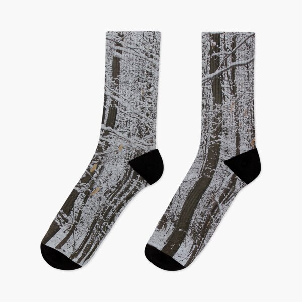 Item preview, Winter Trees, Knox State Park, February 2013 designed and sold by Jocelyn Sperduto Art.
