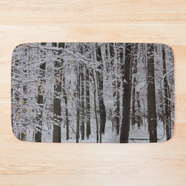 Item preview, Winter Trees, Knox State Park, February 2013 designed and sold by Jocelyn Sperduto Art.