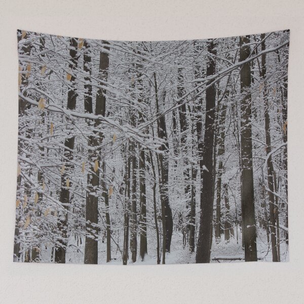 Item preview, Winter Trees, Knox State Park, February 2013 designed and sold by Jocelyn Sperduto Art.