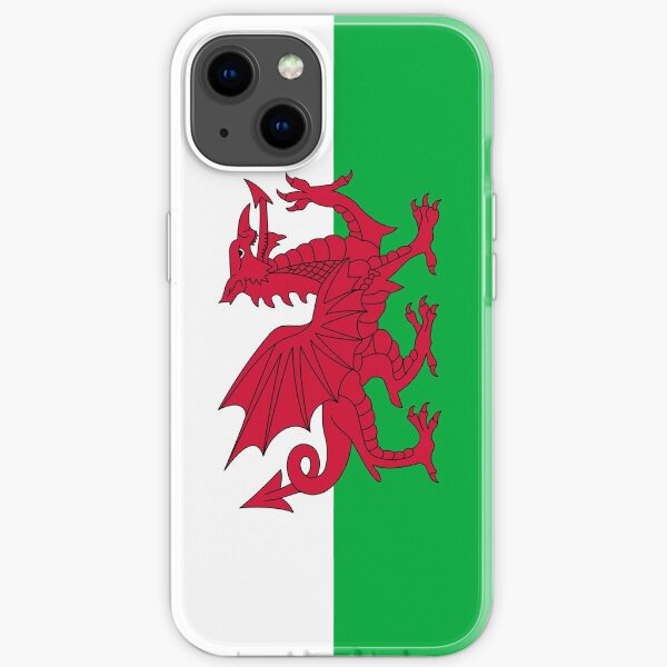 Telefonhülle mit walisischer Flagge (2) iPhone Flexible Hülle