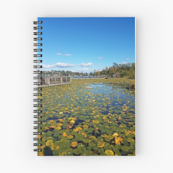 Item preview, Boardwalk  designed and sold by Lacy Hempel.