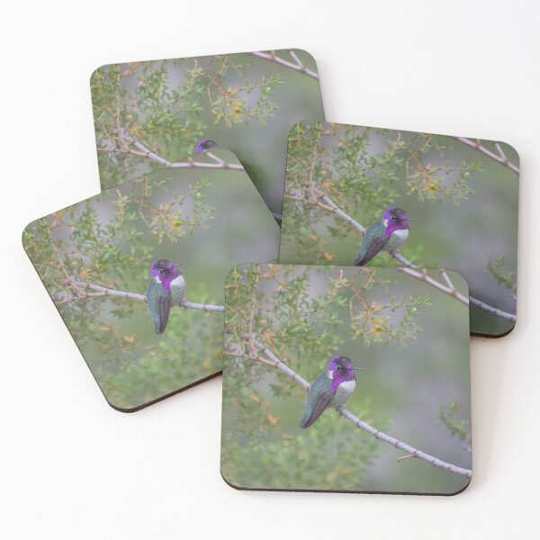 Item preview, Costa's Hummingbird  designed and sold by Ollivrosa.