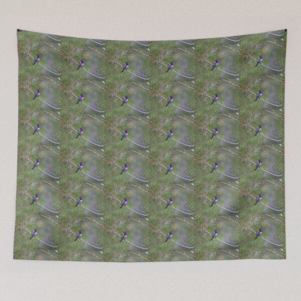 Item preview, Costa's Hummingbird  designed and sold by Ollivrosa.